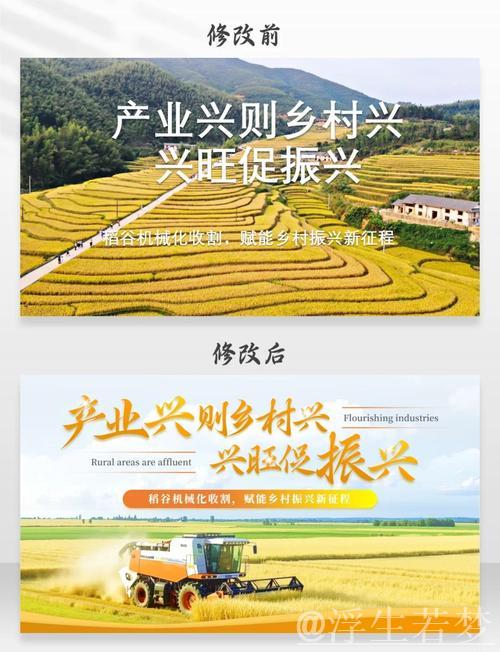 太空视角下的“十四五”｜乡村振兴新篇章